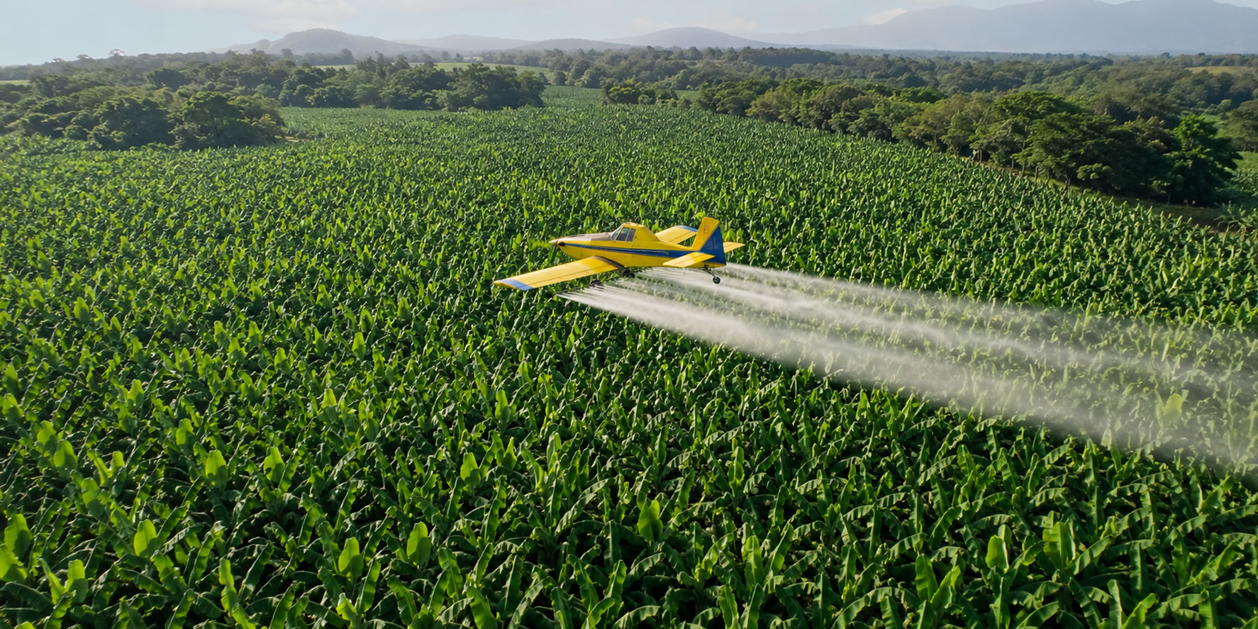 AGRIMD S.A.