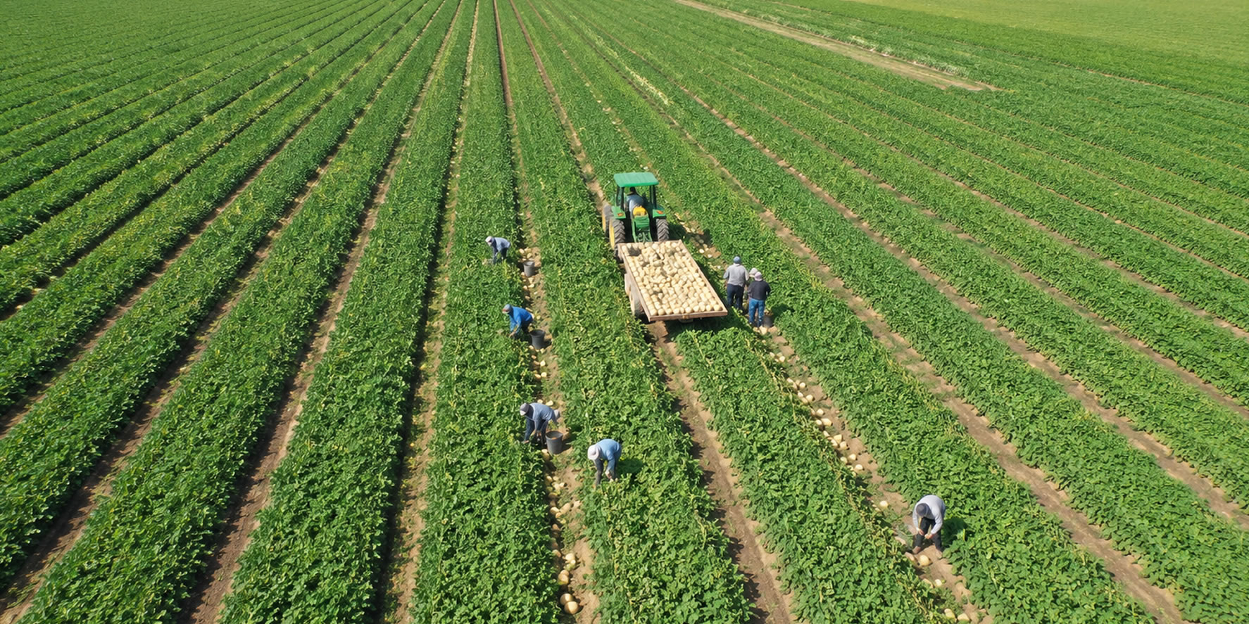 AGRIMD S.A.