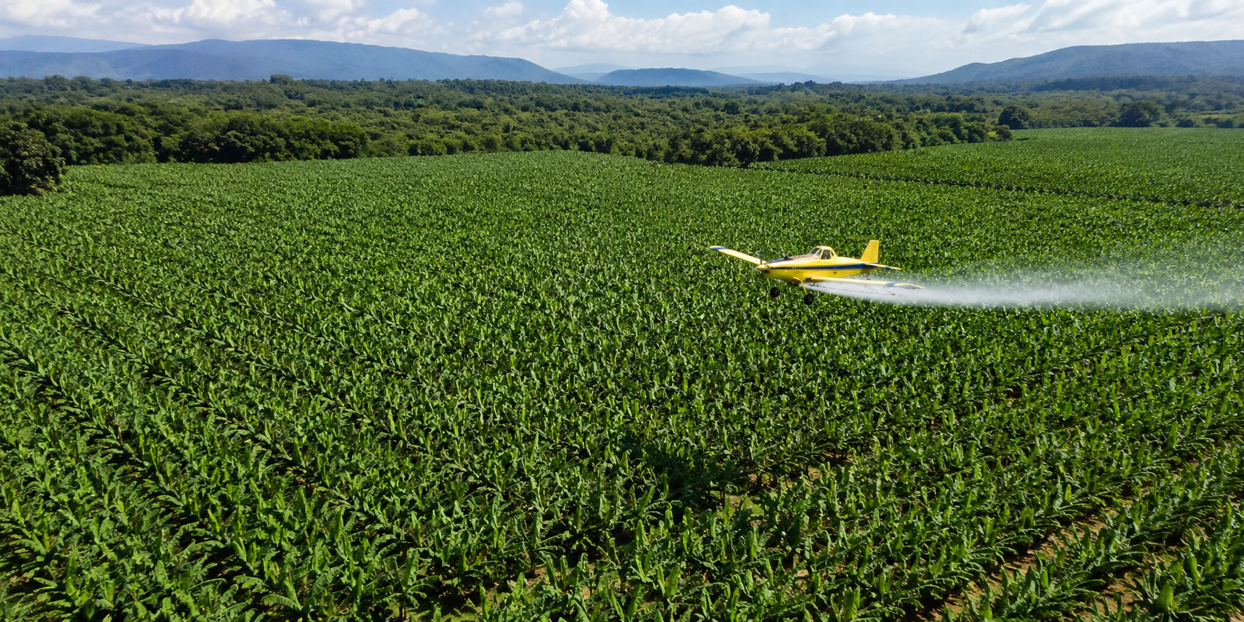 AGRIMD S.A.